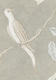 Adam's Eden Pumice Bare Bones Fabric by Lewis & Wood
