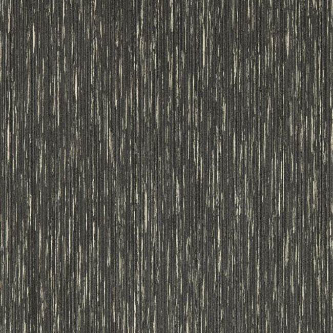 W0205/01 Asper Charcoal/Gilver Expressions Wallpaper by Clarke & Clarke