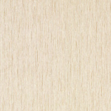 W0205/05 Asper Sahara Expressions Wallpaper by Clarke & Clarke