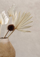 Argile La Chaux Wallpaper by Casamance