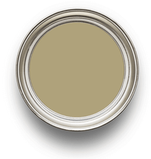 Citrus Stone Morris & Co Paint