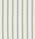 NPOF134843 Beanstalk Stripe Sage / Dusk Pink Pomona Fabric by Scion