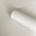 Giorgio Plain Texture Cream Wallpaper by Belgravia