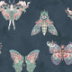 Butterfly Effect Navy Wallpaper by Brand McKenzie