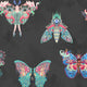 Butterfly Effect Noir Wallpaper by Brand McKenzie