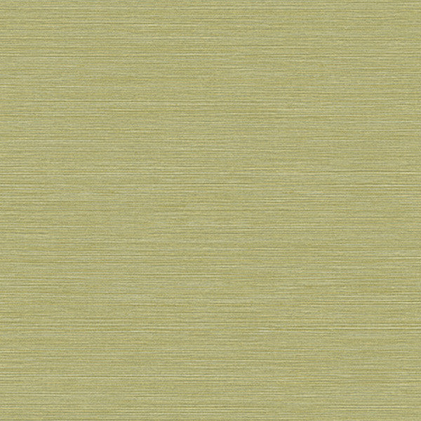 BV30424 Linear Smooth Natural Textures Wallpaper by Today Interiors
