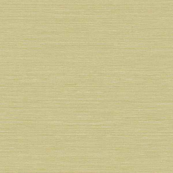 BV30454 Linear Smooth Natural Textures Wallpaper by Today Interiors