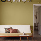 Citrus Stone Morris & Co Paint