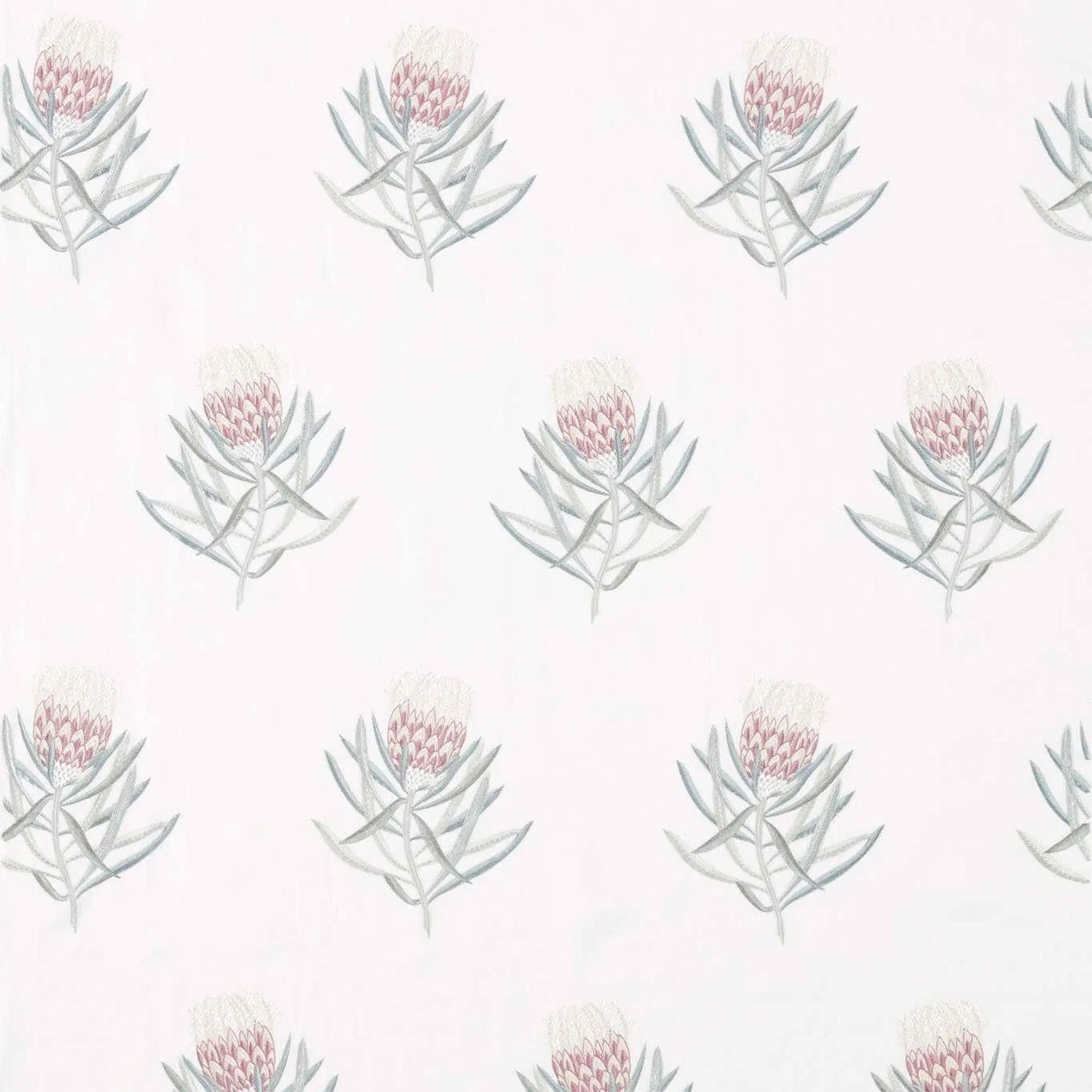 DART236352 Curios Protea Flower Porcelain/Orchid Fabric by Sanderson