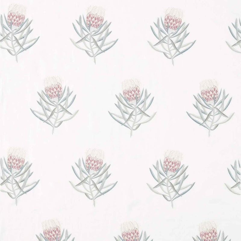 DART236352 Curios Protea Flower Porcelain/Orchid Fabric by Sanderson