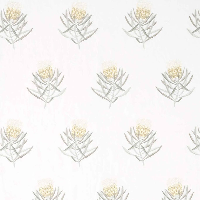 DART236355 Curios Protea Flower Daffodil/Natural Fabric by Sanderson