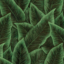 97572 Emerald Bird of Paradise Décors & Panoramiques Wallpaper By Arte