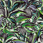 97662 Malachite Sunbird Flor Imaginaria Décors & Panoramiques Wallpaper By Arte
