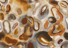 DGERO3011-3014 Acharius Rust Mural by Masureel