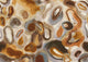 Acharius Rust Erosion Mural by Masureel