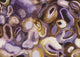 Acharius Astral Erosion Mural by Masureel