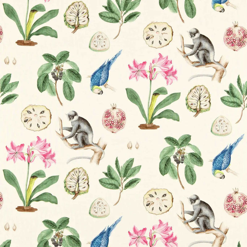 DVOY223273 Curios Capuchins Chintz Fabric by Sanderson