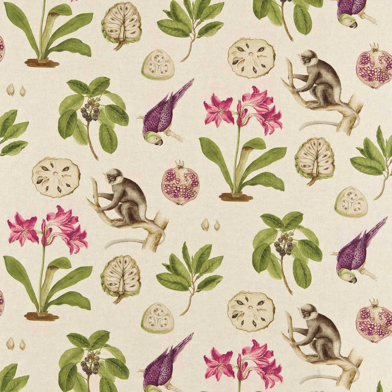 DVOY223274 Curios Capuchins Boysenberry Fabric by Sanderson