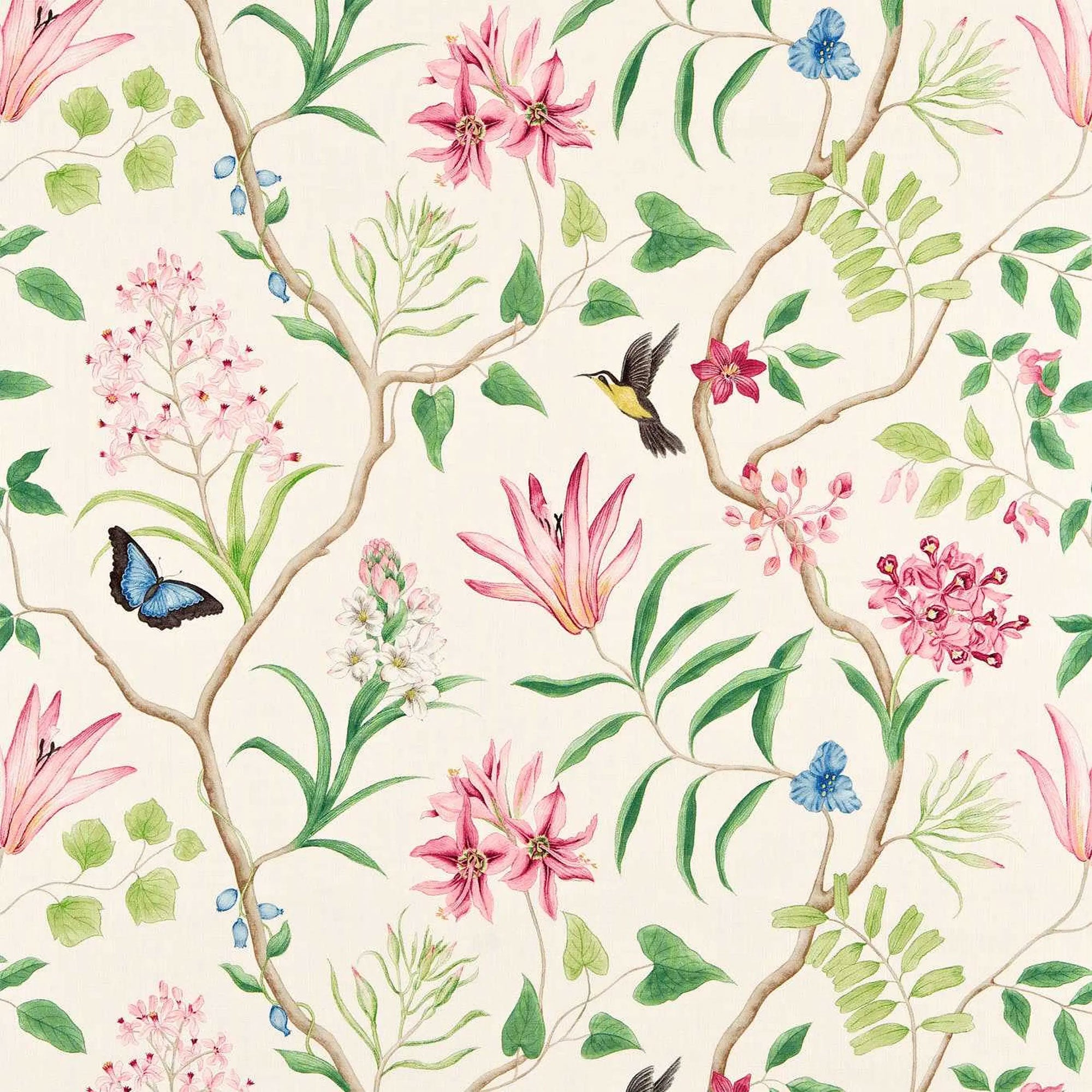 DVOY223298 Curios Clementine Chintz Fabric by Sanderson