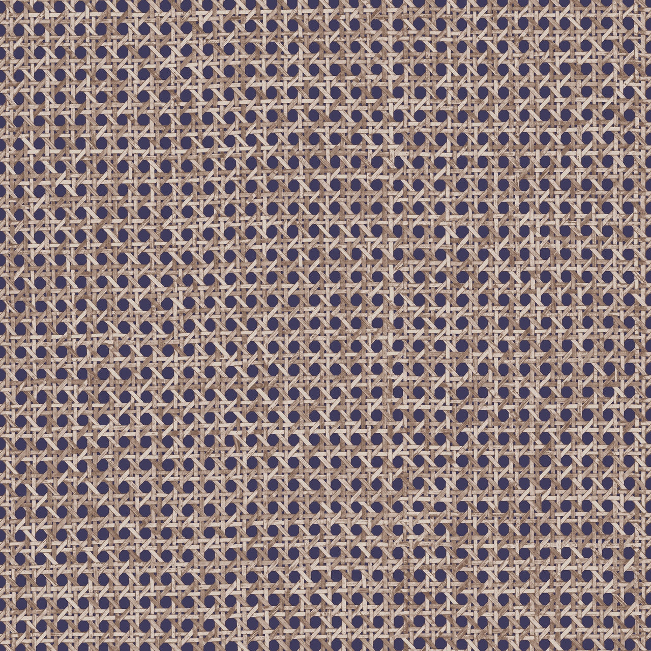 60510 Le Rotin Essentials L'Invité Midnight Wallpaper By Arte