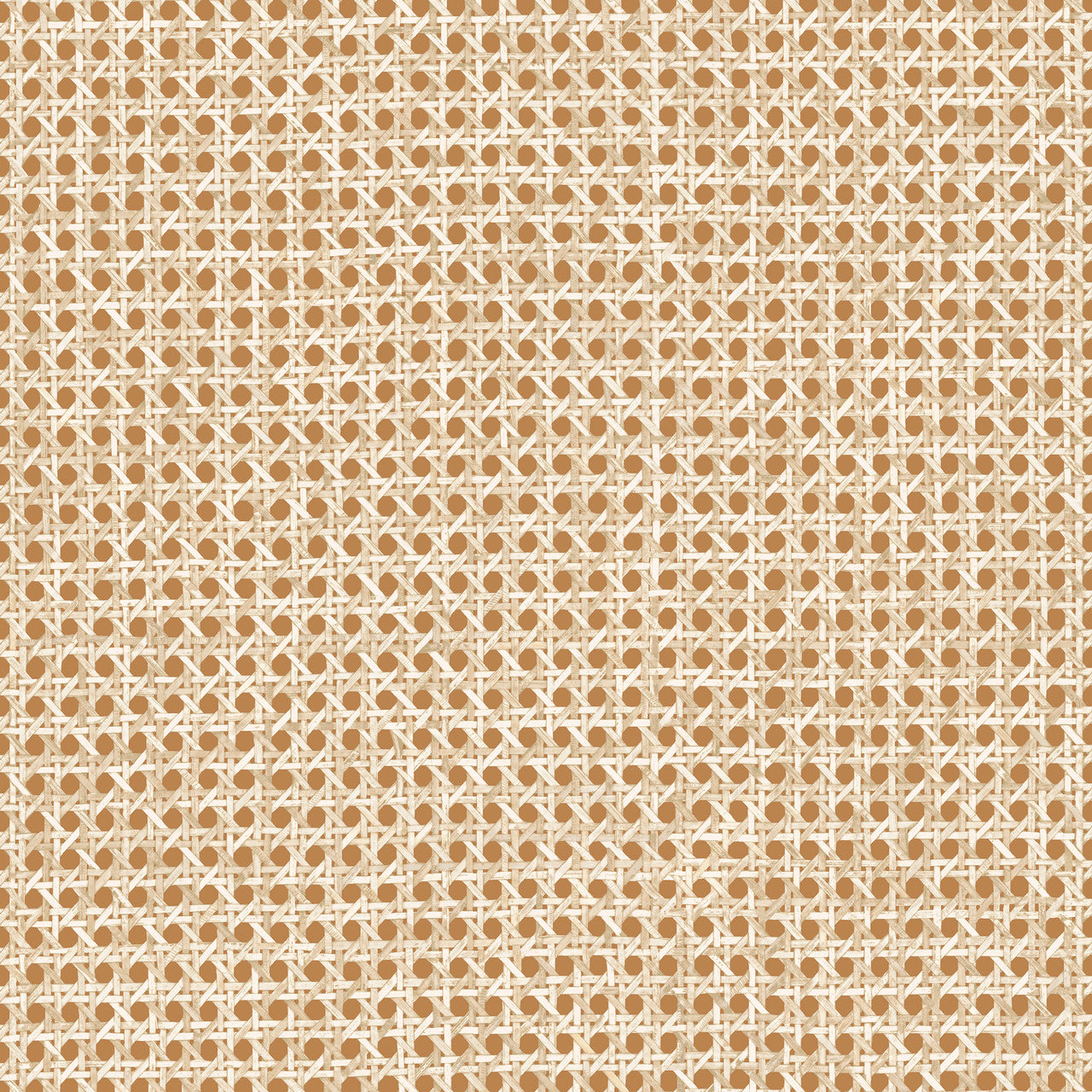 60514 Le Rotin Essentials L'Invité Terracotta Wallpaper By Arte