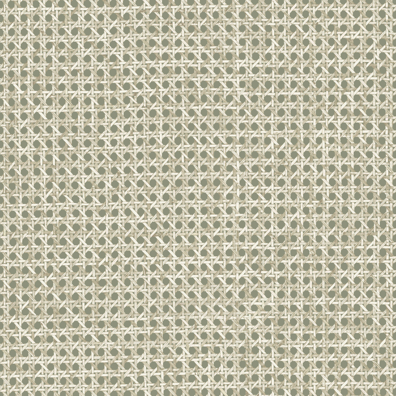 60515 Le Rotin Essentials L'Invité Pistache Wallpaper By Arte