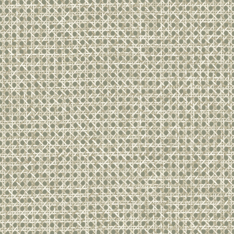 60515 Le Rotin Essentials L'Invité Pistache Wallpaper By Arte