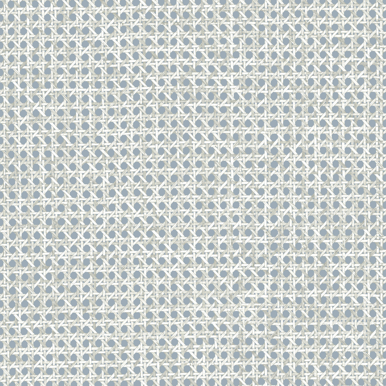 60516 Le Rotin Essentials L'Invité Sky Wallpaper By Arte