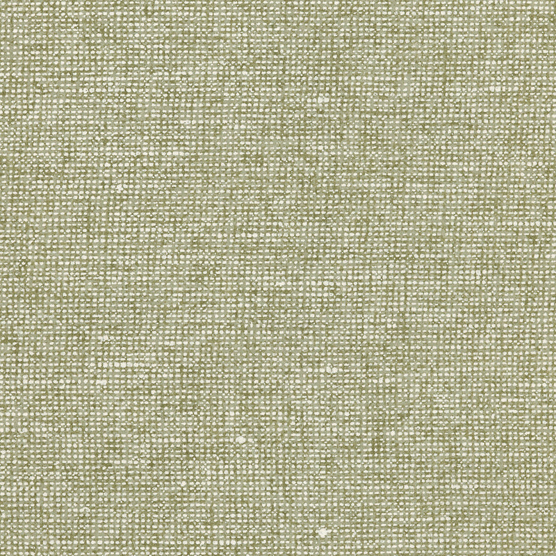 91511C Chanderi Essentials Palette Pistachio Wallpaper By Arte