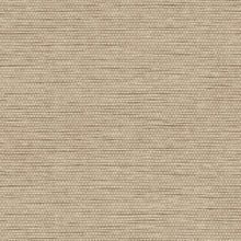 60505A Le Papier Tissé Essentials Palette Hazelnut Wallpaper By Arte
