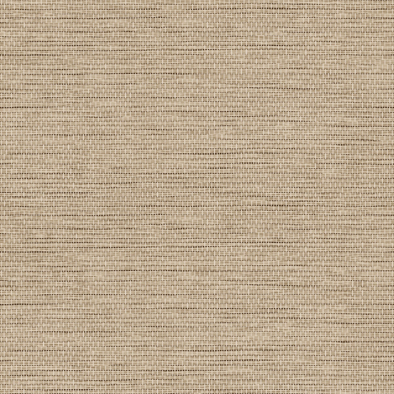 60505A Le Papier Tissé Essentials Palette Hazelnut Wallpaper By Arte