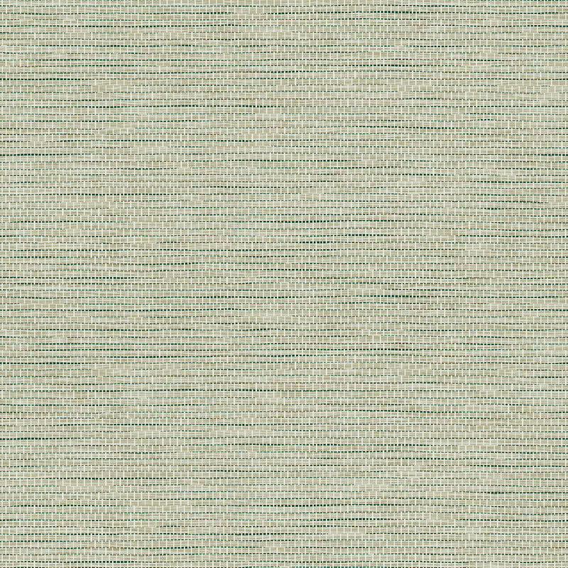 60507A Le Papier Tissé Essentials Palette Pistache Wallpaper By Arte