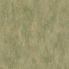 57527A Manchas Essentials Palette Unakite Wallpaper By Arte