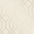 FD42305 Quartz Trellis Wallpaper By Fine Decor