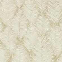 W0206/05 Folius Sahara Expressions Wallpaper by Clarke & Clarke