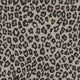 Fun Leopard Beige Kids and Teens Wallpaper by Galerie
