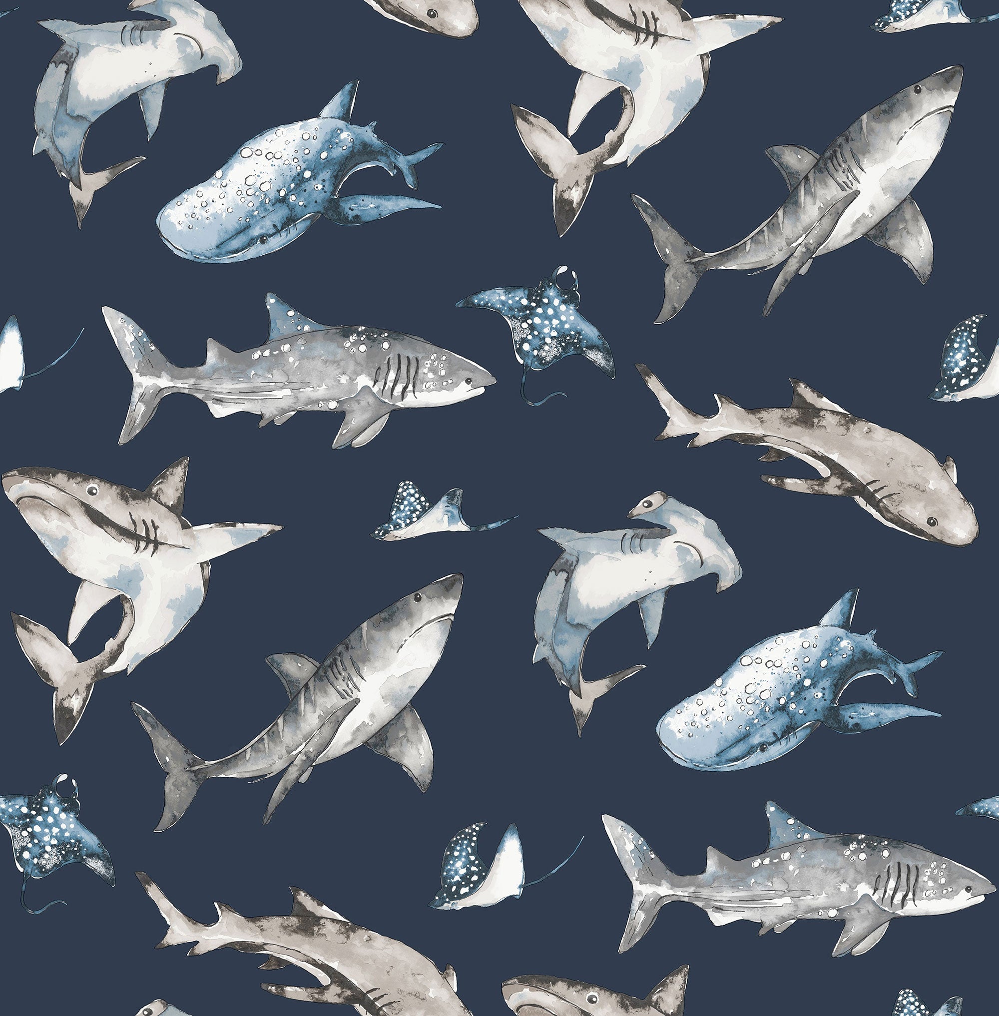 Sharks Blue Kids and Teens Wallpaper by Galerie