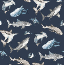 Sharks Blue Kids and Teens Wallpaper by Galerie