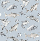 Sharks Blue Kids and Teens Wallpaper by Galerie