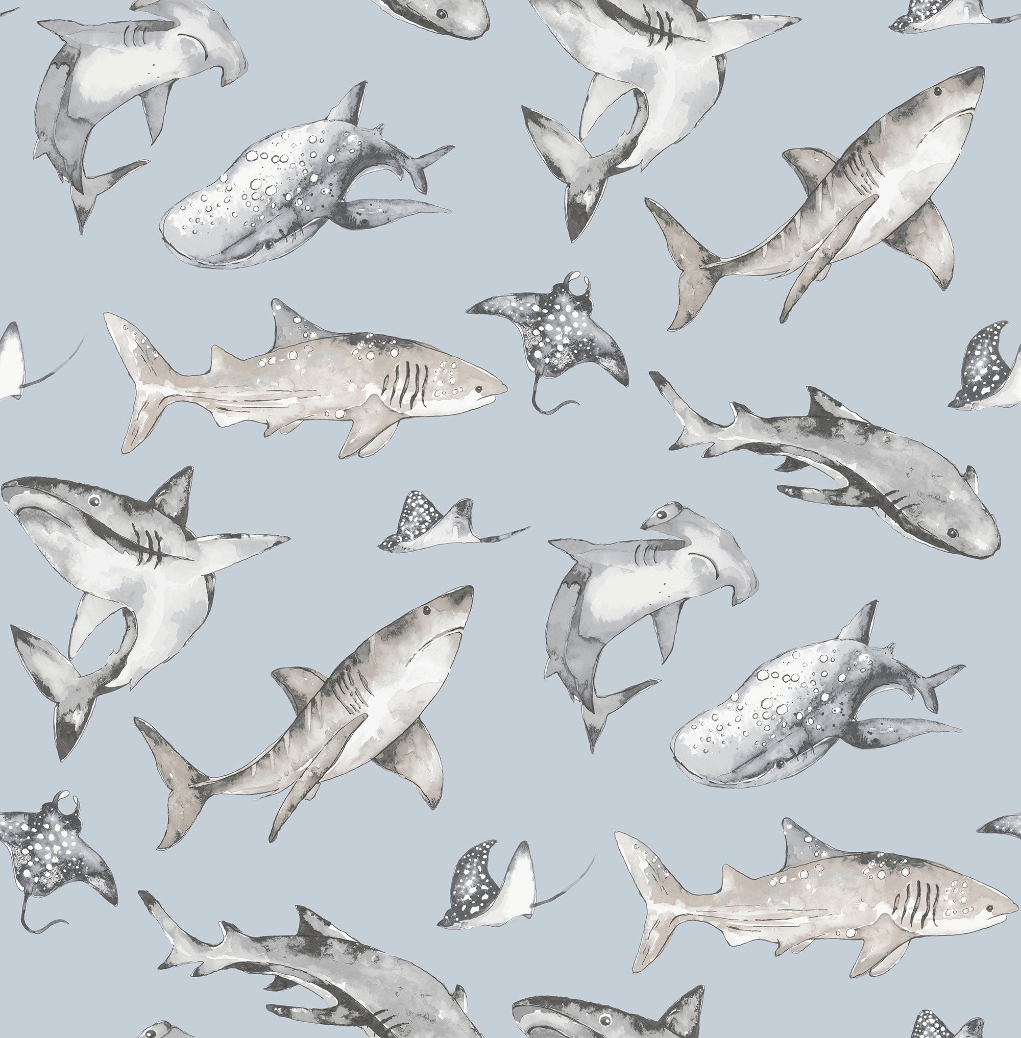 Sharks Blue Kids and Teens Wallpaper by Galerie