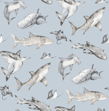 Sharks Blue Kids and Teens Wallpaper by Galerie
