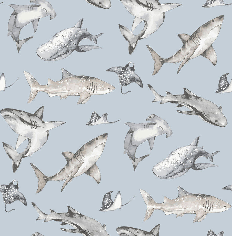 Sharks Blue Kids and Teens Wallpaper by Galerie