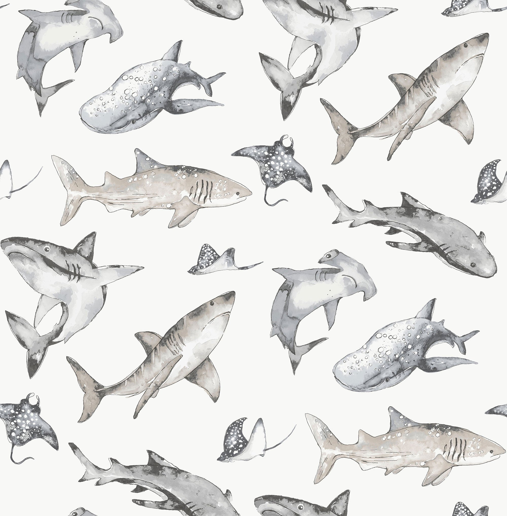 Sharks Silver Grey Kids and Teens Wallpaper by Galerie