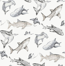 Sharks Silver Grey Kids and Teens Wallpaper by Galerie