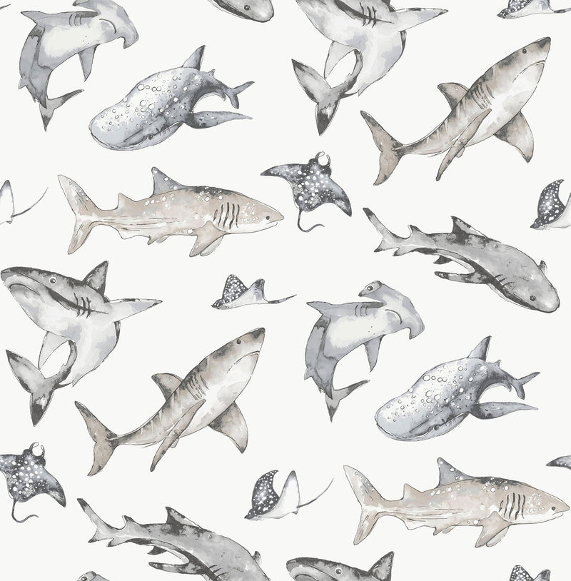 Sharks Silver Grey Kids and Teens Wallpaper by Galerie