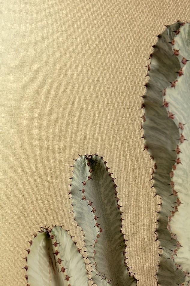 GAT604 Dixie Pampas Wallpaper by Masureel