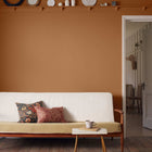 Hares Coat Morris & Co Paint