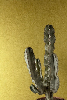 HAV1003 Ramon Olive Wallpaper by Masureel
