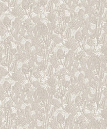 HAV202 Cactus Oyster Wallpaper by Masureel