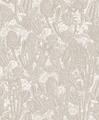 HAV202 Cactus Oyster Wallpaper by Masureel
